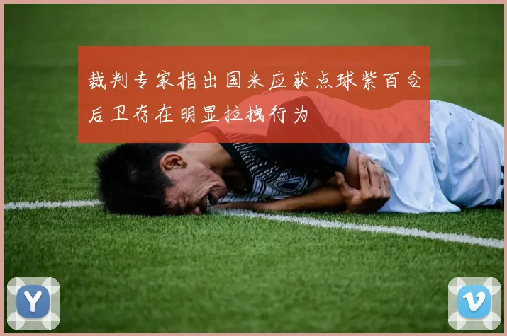 裁判专家指出国米应获点球紫百合后卫存在明显拉拽行为