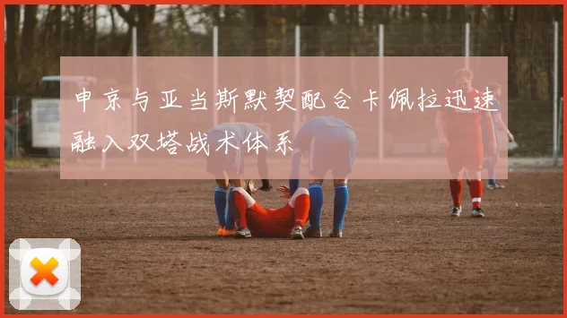 申京与亚当斯默契配合卡佩拉迅速融入双塔战术体系