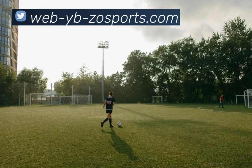 中欧体育平台生态图